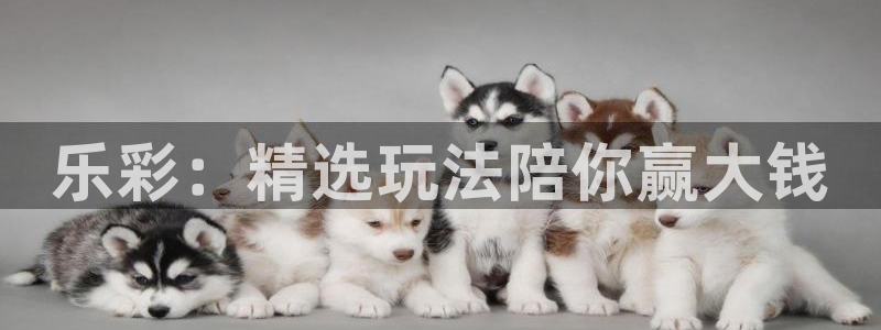 巅峰国际.top：乐彩：精选玩法陪你赢大钱