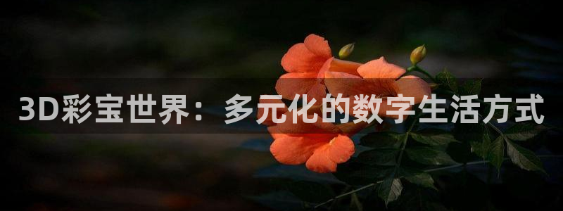巅峰国际3：3D彩宝世界：多元化的数字生活方式