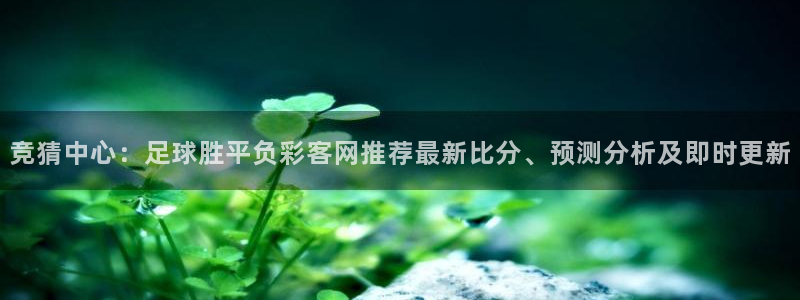 巅峰国际官网下载：竞猜中心：足球胜平负彩客网推荐最新比分、预测分析及即时更新